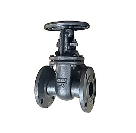 Засувка 30ч6бр фланцева чавунна, PN10, Ду 50