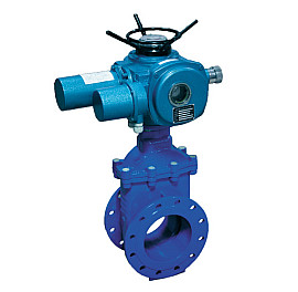 Засувка з обгумованим клином фланцева чавунна з електроприводом, F4, GGG50+EPDM, PN16, Ду 50