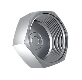 Заглушка нержавеющая внутренняя резьба, Ду8