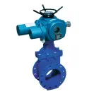 Засувка з обгумованим клином фланцева чавунна з електроприводом, F4, GGG50+EPDM, PN16, Ду 50